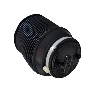 Lexus 470 Series Rear Air Bellows on Exchange