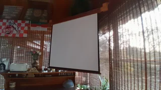 Projector screen