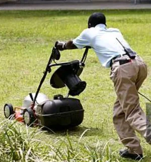 Am looking for a job a gardener