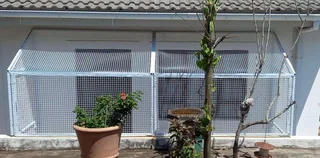 catios - Ad posted by Marc Connor