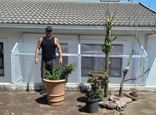 catios - Ad posted by Marc Connor