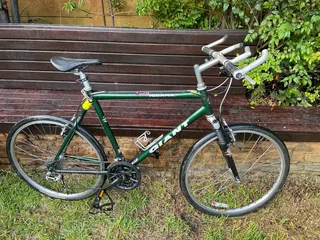 Giant Iguana Mountain Bike