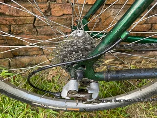 Giant Iguana Mountain Bike