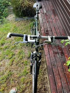 Giant Iguana Mountain Bike