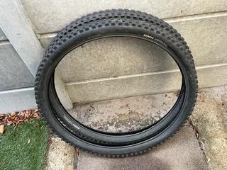 Giant Iguana Mountain Bike