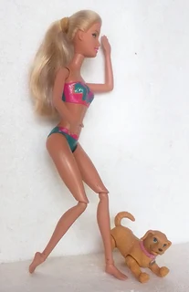 Barbie Fashion Doll and Poseable Dog - Beach Barbie with Moveable Arms and Legs etc - 2011 Indonesia