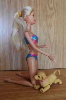 Barbie Fashion Doll and Poseable Dog - Beach Barbie with Moveable Arms and Legs etc - 2011 Indonesia