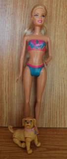 Barbie Fashion Doll and Poseable Dog - Beach Barbie with Moveable Arms and Legs etc - 2011 Indonesia