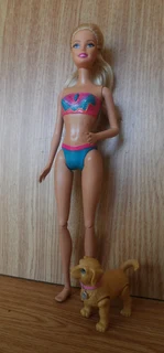 Barbie Fashion Doll and Poseable Dog - Beach Barbie with Moveable Arms and Legs etc - 2011 Indonesia