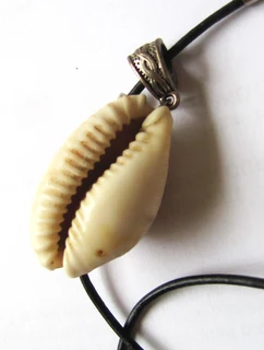 Cowrie Natural Shell Pendant Necklace