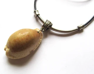Cowrie Natural Shell Pendant Necklace