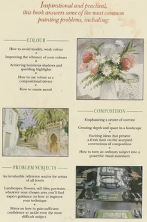 The Watercolour Painter's Question &amp; Answer Book by Angela Gair - Crafts