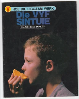 Die Vyf Sintuie by Jacqueline Dineen