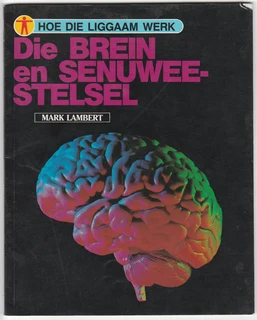 Die Bruin en Senuwee-Stelsel by Mark Lambert