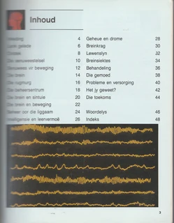 Die Bruin en Senuwee-Stelsel by Mark Lambert