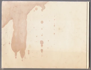 The Evergreen South African Diary - Susan Paramore Weyers