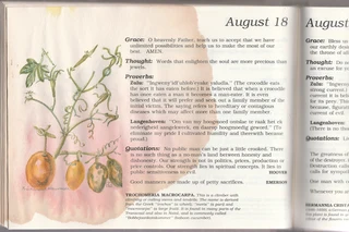 The Evergreen South African Diary - Susan Paramore Weyers