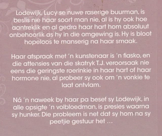 &#39;n Man Soos Lodewijk - Magdaleen Walters - Afrikaans Romance