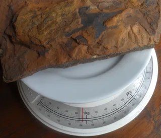 Tigers Eye Gemstone - Rough Rock