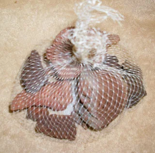 Reptiles and Snakes - Small Tank Accessories