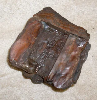 Reptiles and Snakes - Small Tank Accessories