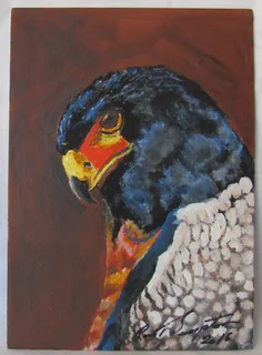 Eagle Head - Acrylic Painting - 2016