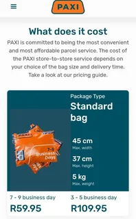 Vintage Cowrie Sea Shell Hanging Pot Plant Holder