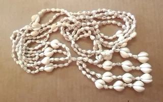 Vintage Cowrie Sea Shell Hanging Pot Plant Holder