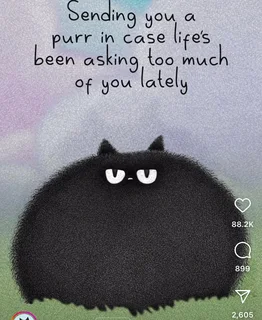 Over 60 accommodation needed