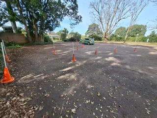 Automatic Driving Lessons