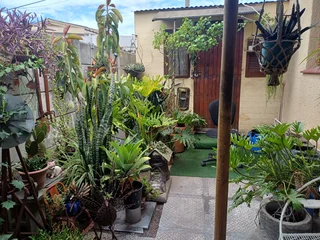 Spacious property in Peerless Park North Kraaifontein