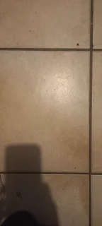 Furnished room to rent for female student or professional working female