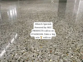 Epoxy coatings with Flakes