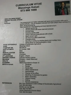 Looking for garden and handyman job