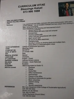 Looking for garden job and handyman