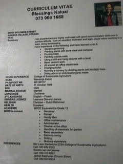 Looking for garden job and handy man