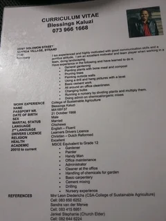 Searching for job as a gardner and handyman