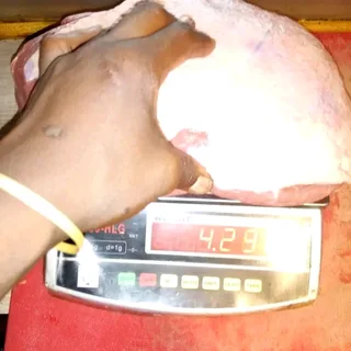 Hie everyone am still available for job as griller