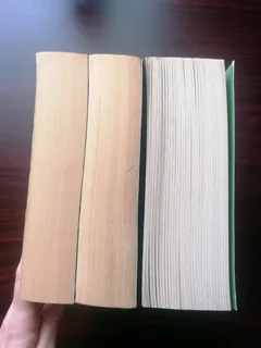 Stieg Larsson Millennium Trilogy - Thriller Book Set