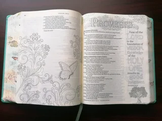 Inspire Bible - Creative Journaling Hardcover