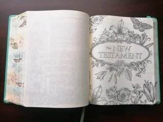 Inspire Bible - Creative Journaling Hardcover