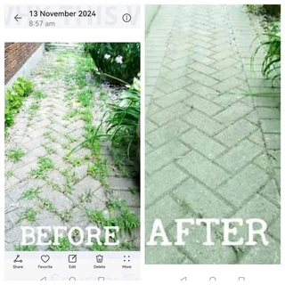 Weedkilling on grass and paving