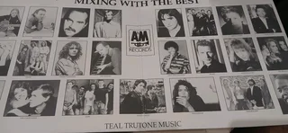 LP Album A&amp;M Records