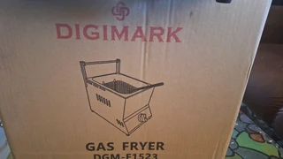 6L single gas fryer