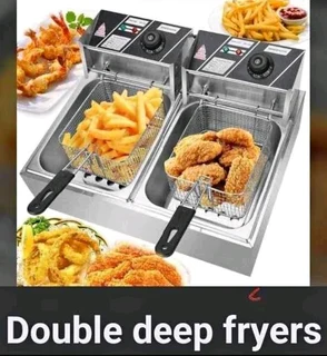 Double electric fryer