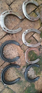Horseshoes for sale