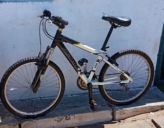 Avalanche cosmic 24"mountain bike