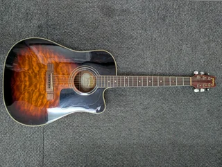 Washburn D10sce Heritage 10 Series Semi Acoustic Guitar