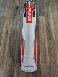 GRAY NICHOLLS PREDATOR 3 BLAZE HALESTORM CRICKET BAT - SIZE SH