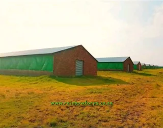 Poultry / Piggery Curtains